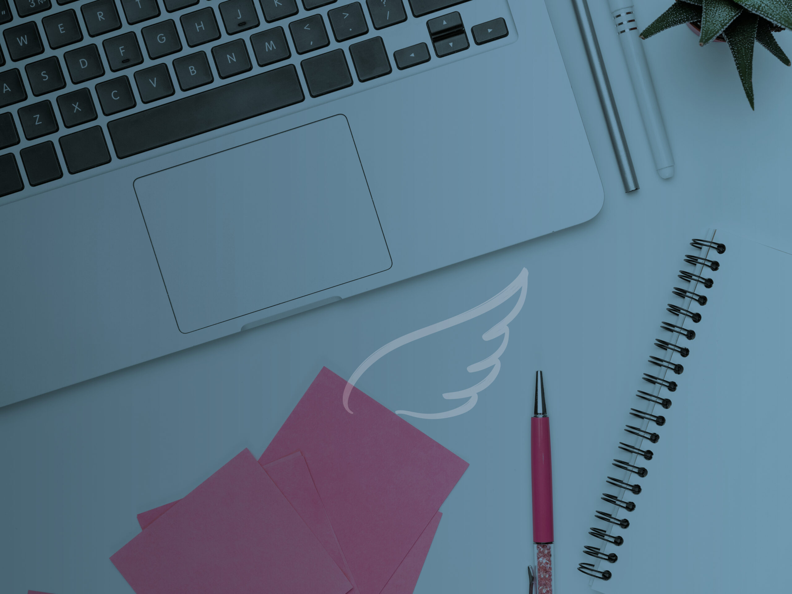 What Is The Difference Between Payroll And Bookkeeping Services?