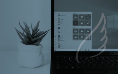 Role of Bookkeepers in Shaping the Property Industry